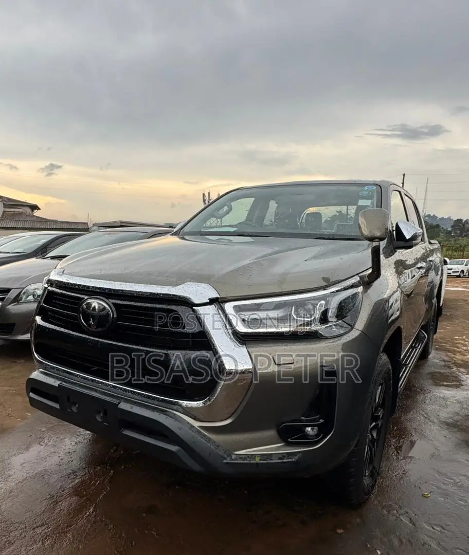 Toyota Hilux 2017 Brown