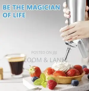 500ml Ice Stainless Steel Ice Cream Dispenser