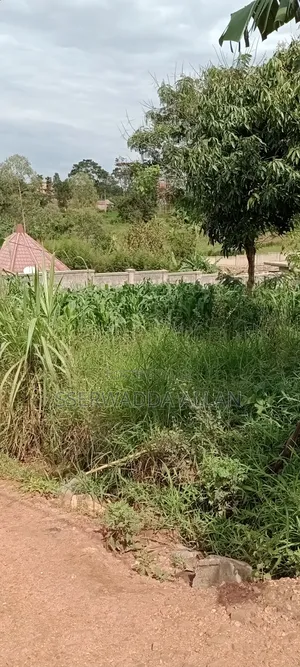 12 Decimals Plot in Seeta for Sale