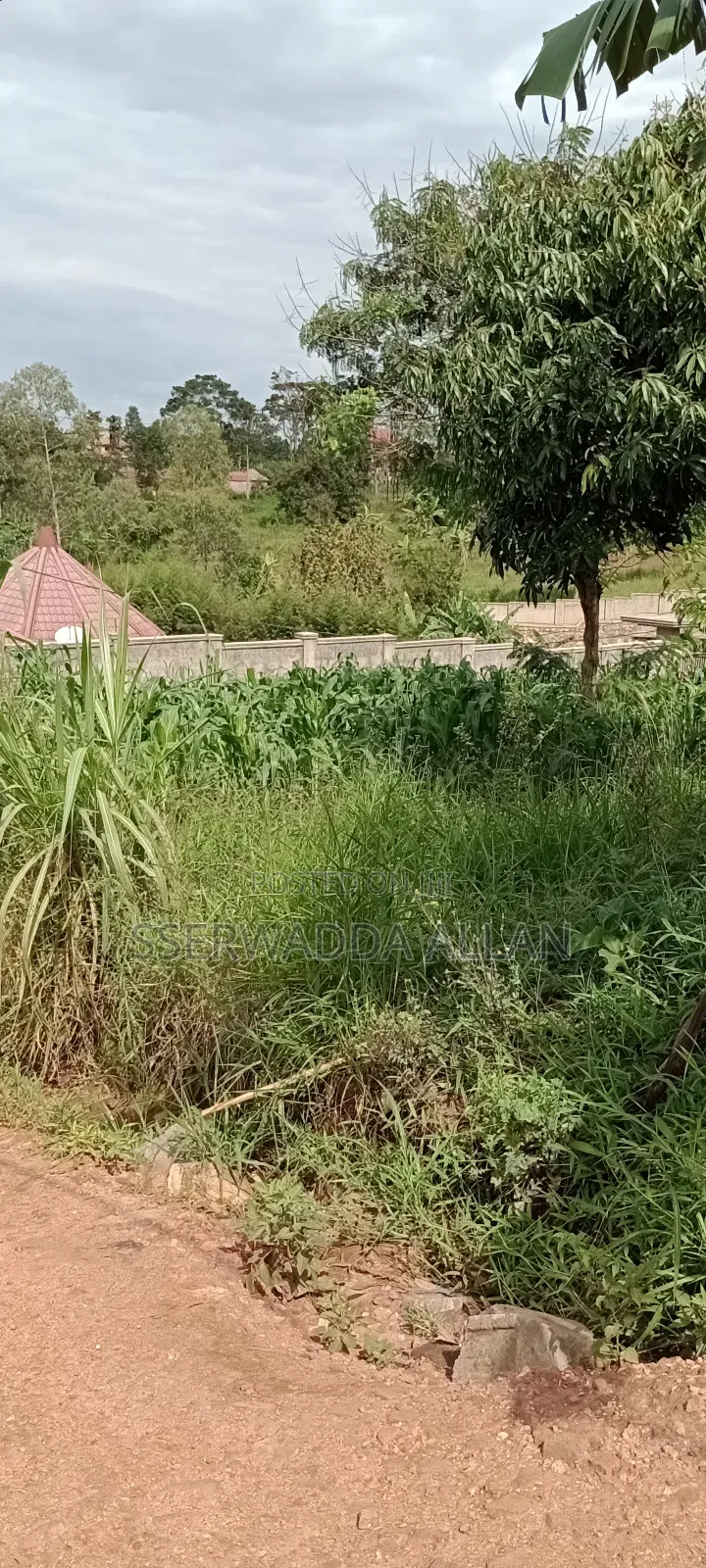 12 Decimals Plot in Seeta for Sale