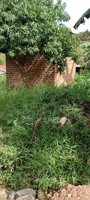 12 Decimals Plot in Seeta for Sale