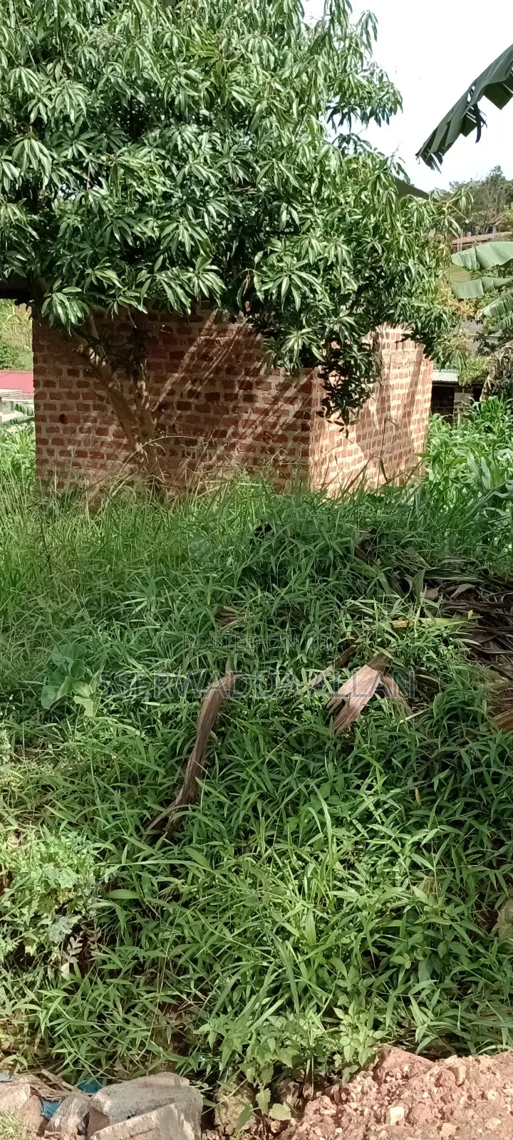 12 Decimals Plot in Seeta for Sale