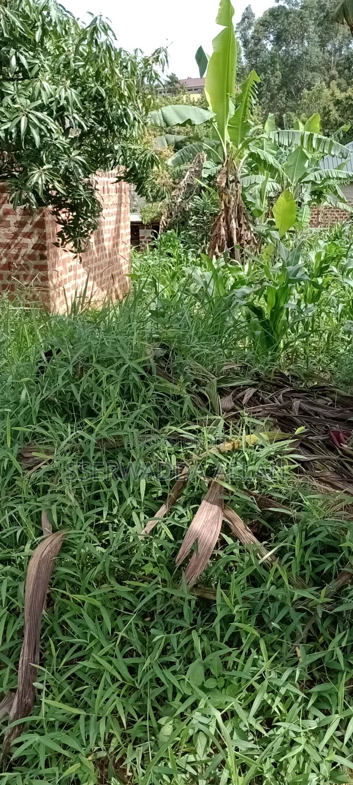 12 Decimals Plot in Seeta for Sale