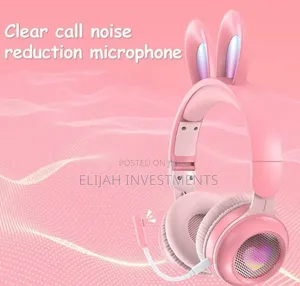 Rabbit Ear Wireless Headphones – Luminous Fun
