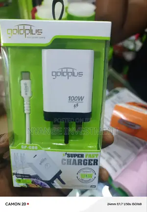 Gold Plus C to C Adapter and Charger