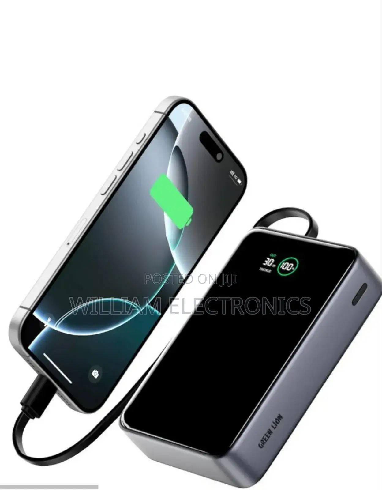 Greenlion Madrid 20 Power Bank