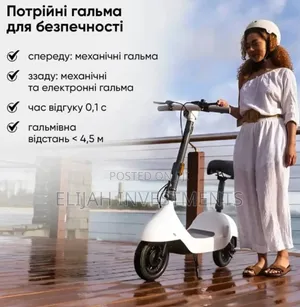Ceetle Pro Electric Scooter