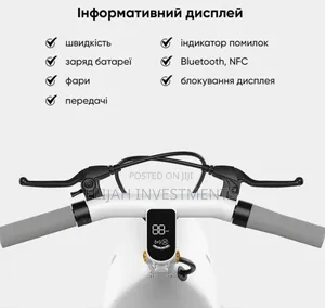 Ceetle Pro Electric Scooter