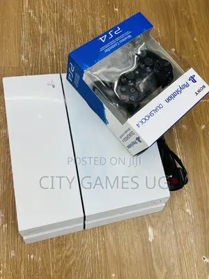 Playstation 4 Standard Version