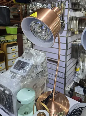 Food Warming Lamp - Single Bulb