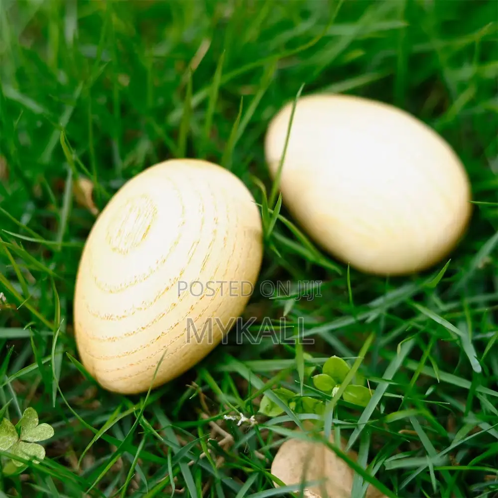 Wooden Maracas Egg Shakers Musical Percussion Instrument Eggs 2pcs