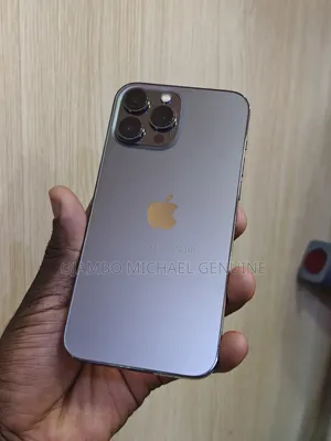 Apple iPhone 13 Pro Max 256 GB Gray