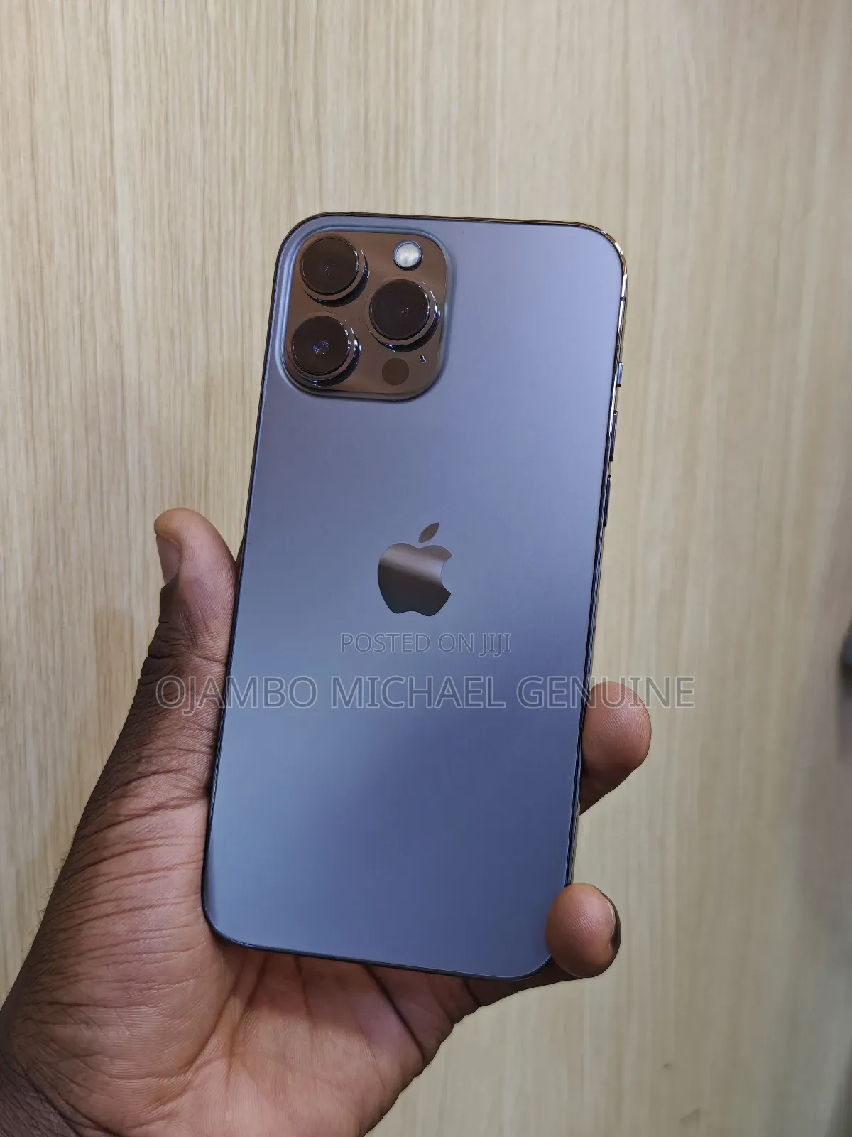 Apple iPhone 13 Pro Max 256 GB Gray