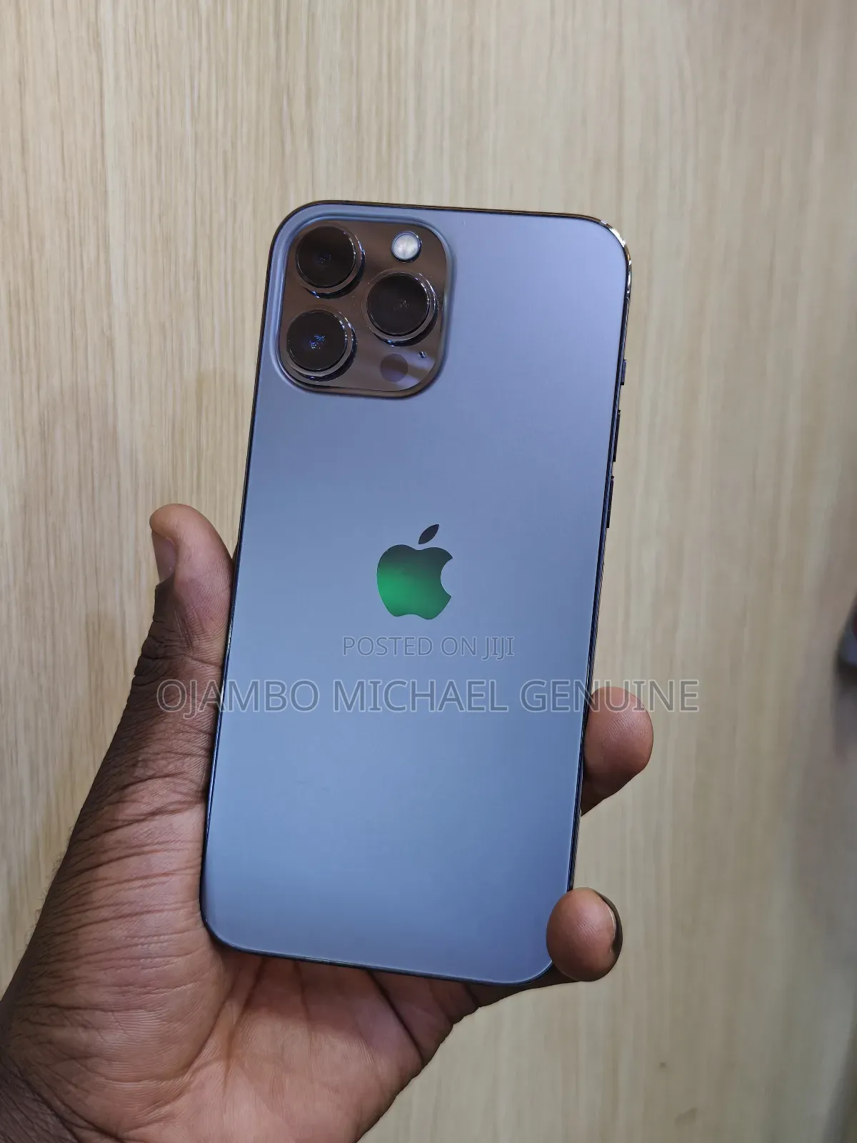 Apple iPhone 13 Pro Max 256 GB Gray