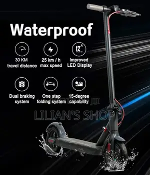 Adult Electric Rechargeable Smart Scooter