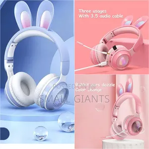 Rabbit Ear Wireless Headphones