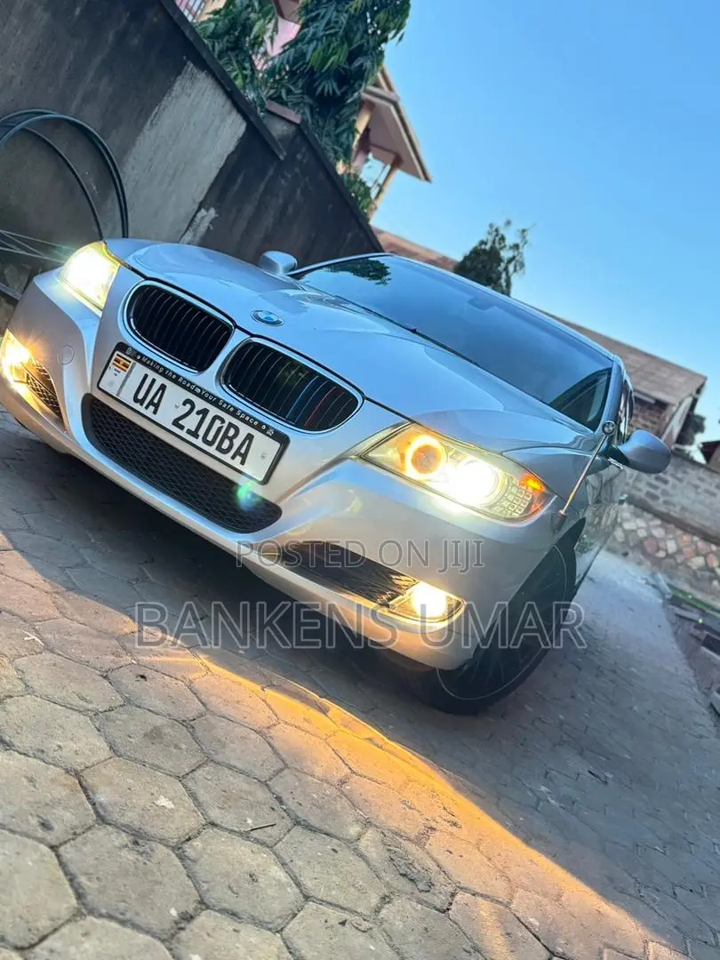 BMW 320i Sedan RWD 2010 Silver