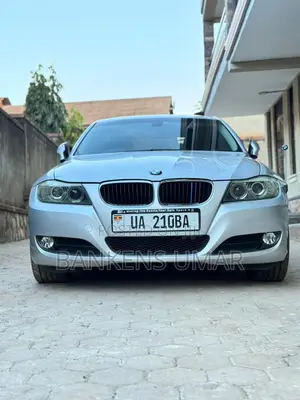 BMW 320i Sedan RWD 2010 Silver