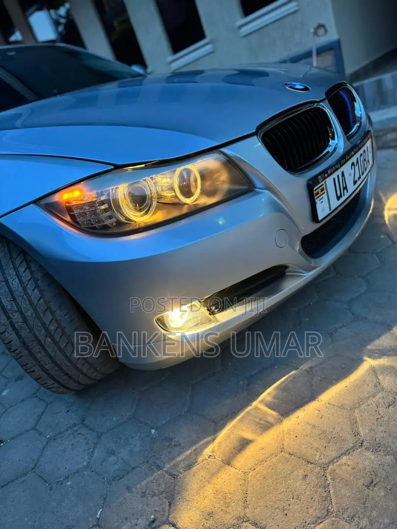 BMW 320i Sedan RWD 2010 Silver