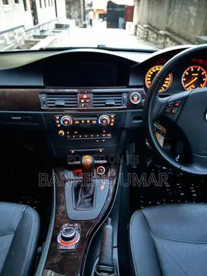 BMW 320i Sedan RWD 2010 Silver