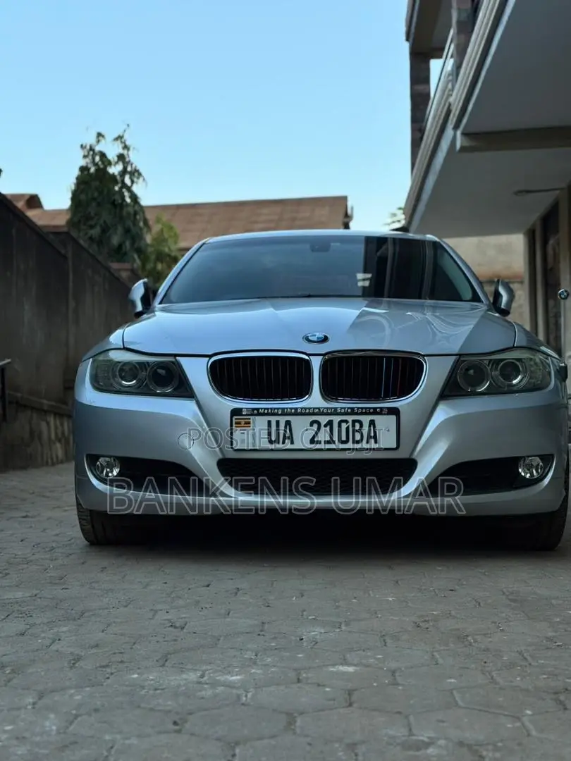 BMW 320i Sedan RWD 2010 Silver