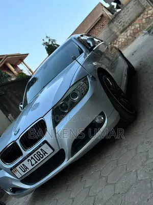 BMW 320i Sedan RWD 2010 Silver