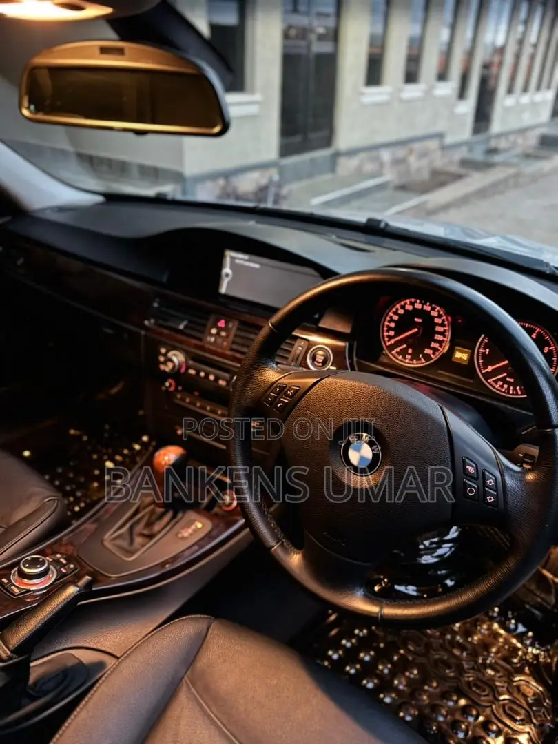 BMW 320i Sedan RWD 2010 Silver