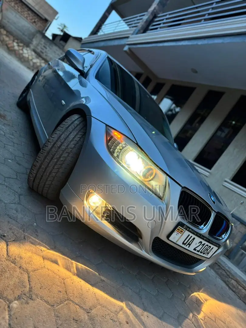 BMW 320i Sedan RWD 2010 Silver