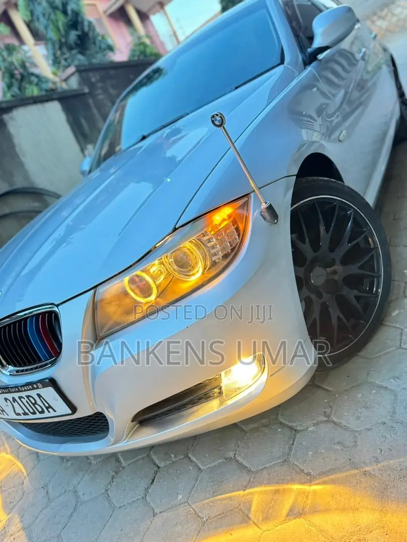 BMW 320i Sedan RWD 2010 Silver