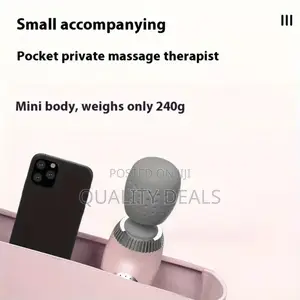 Rechargeable Mini Massager