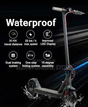 Adult Electric Rechargeable Smart Scooter