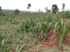 Plot on Quick Sale in Buwate
