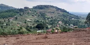 Prime Plots For Sale At Katende Diplomatic Hill View Estate~Masaka Rd
