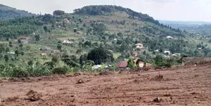 Prime Plots For Sale At Katende Diplomatic Hill View Estate~Masaka Rd