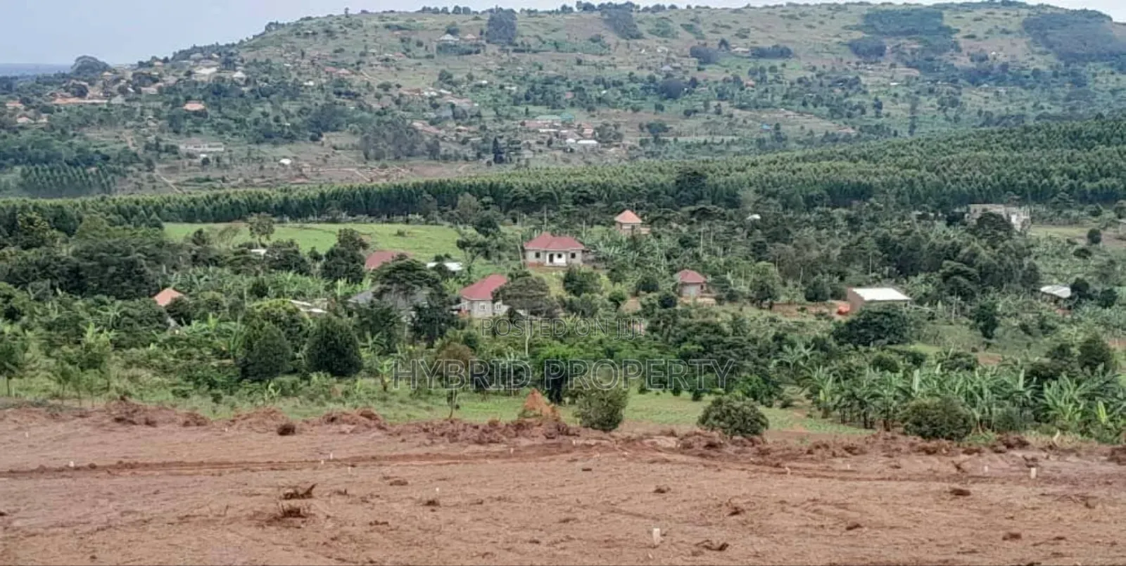 Prime Plots For Sale At Katende Diplomatic Hill View Estate~Masaka Rd