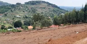 Prime Plots For Sale At Katende Diplomatic Hill View Estate~Masaka Rd
