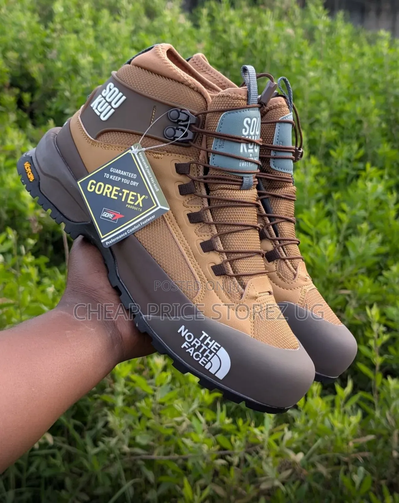 Beijia Mesh Surface TNF Sports Shoes Functional Hiking Boots