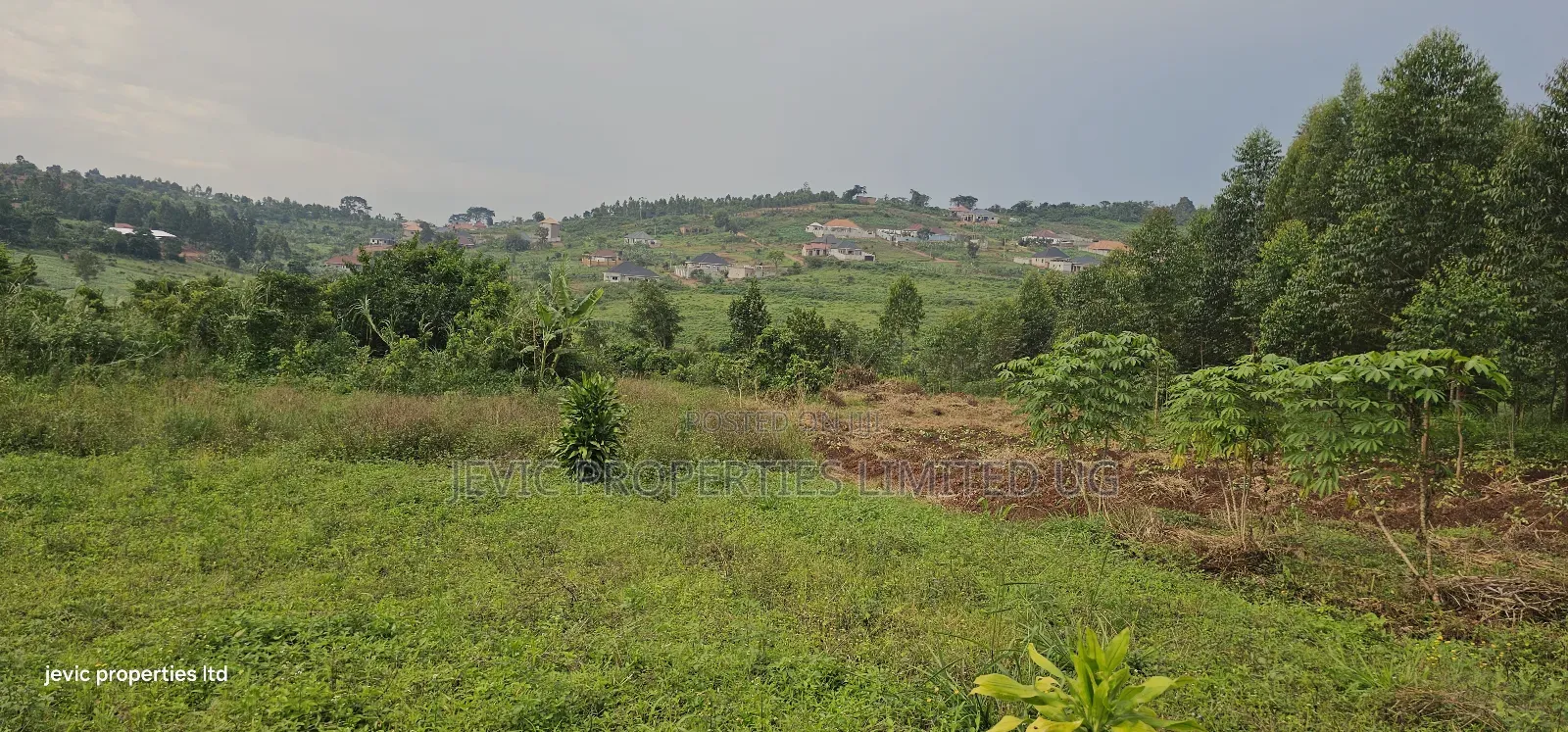 Plots for Sale at Namusera Mabombwe