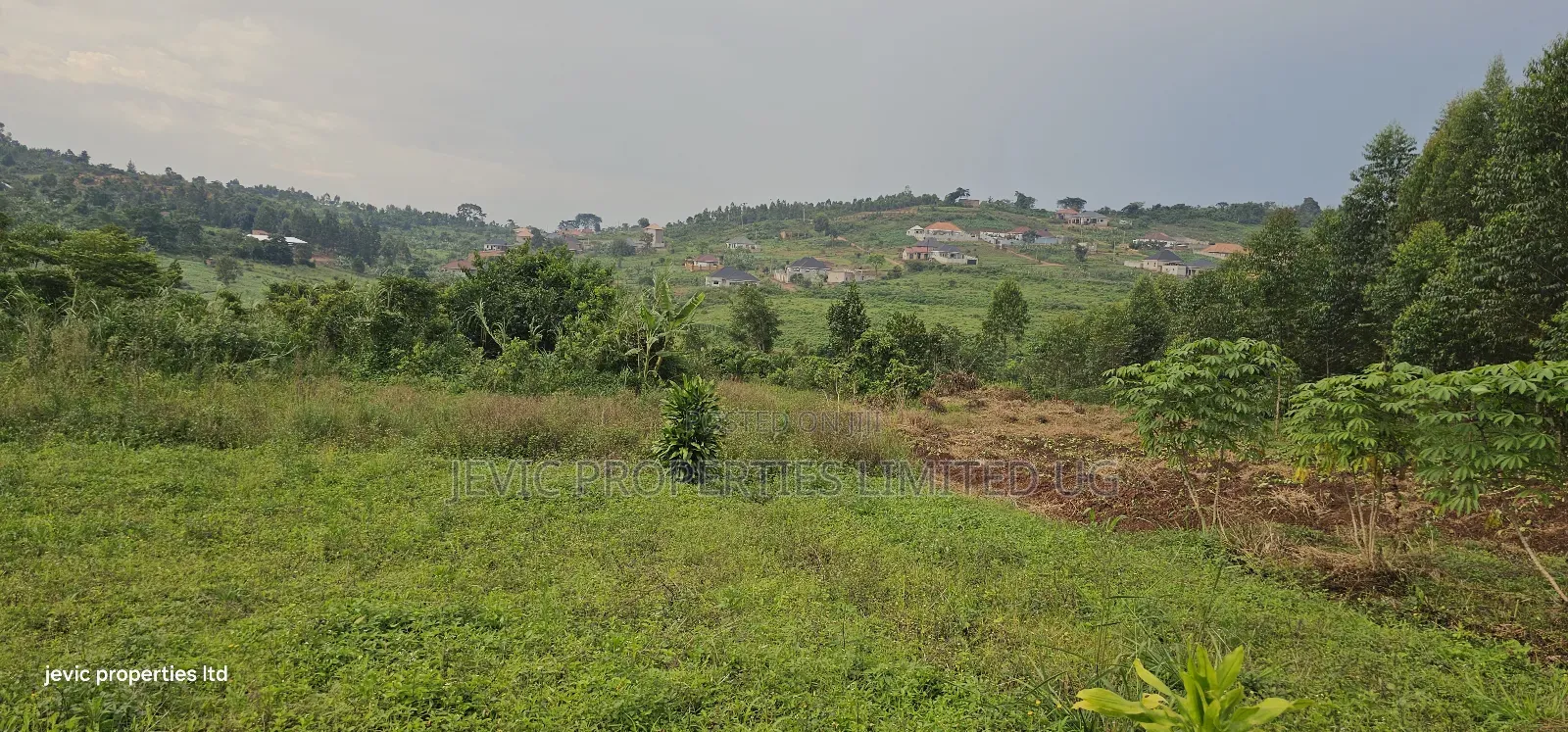 Plots for Sale at Namusera Mabombwe