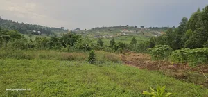 Plots for Sale at Namusera Mabombwe