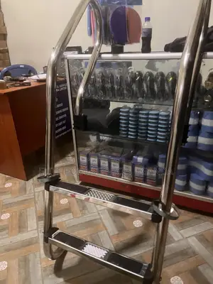 Swimming Pool Ladders