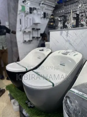 Toilet Seat