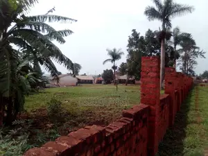 6 Acres For Sale In Njeru On Kayunga Road