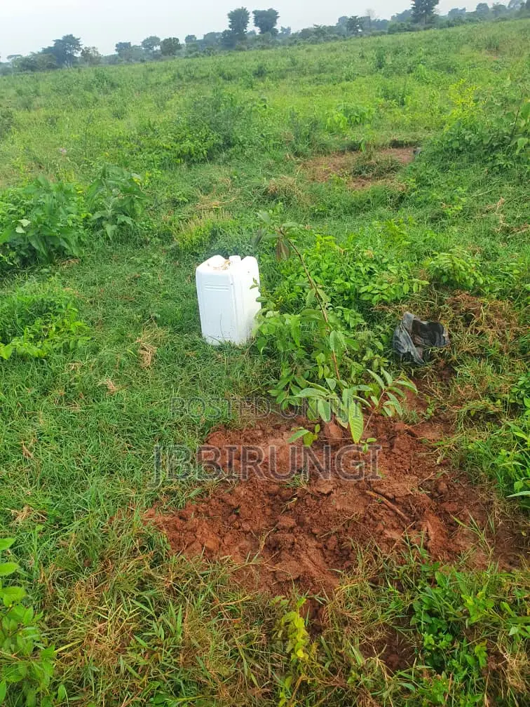 6 Acres For Sale In Njeru On Kayunga Road