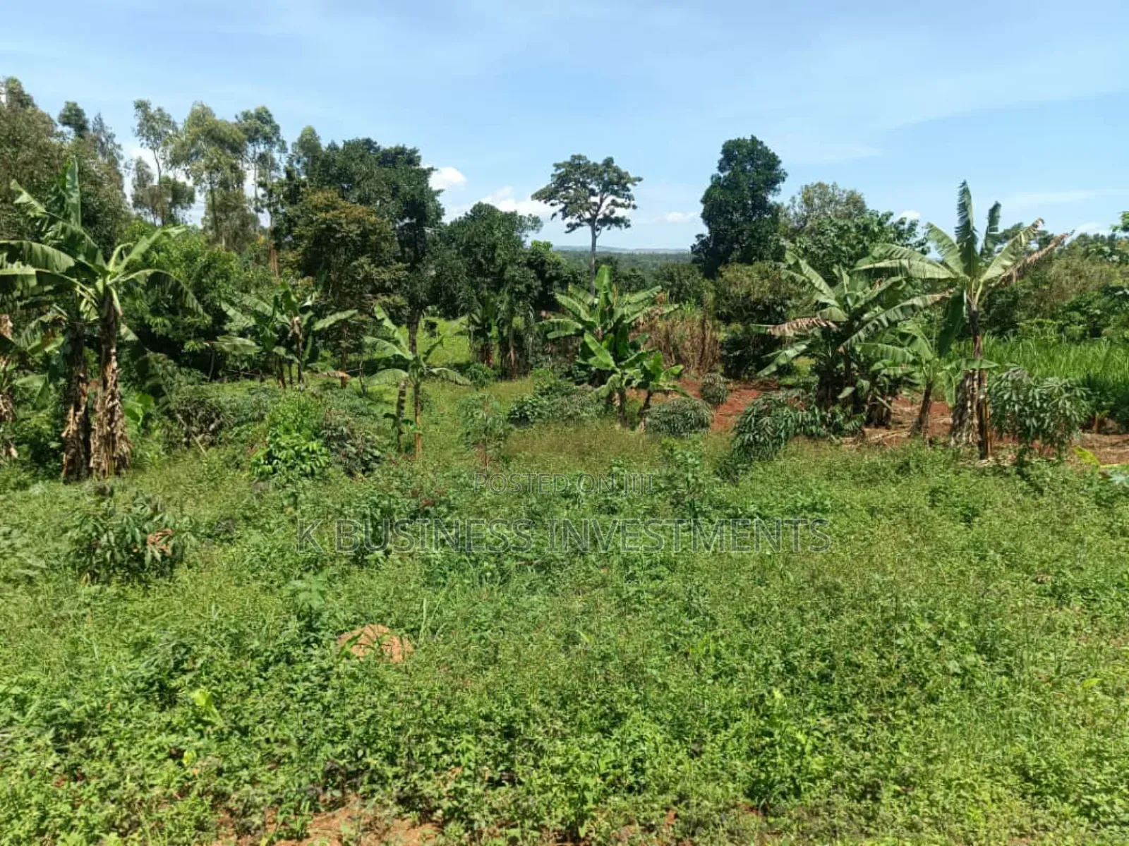 50 Acres at Damba Island Near Mukono
