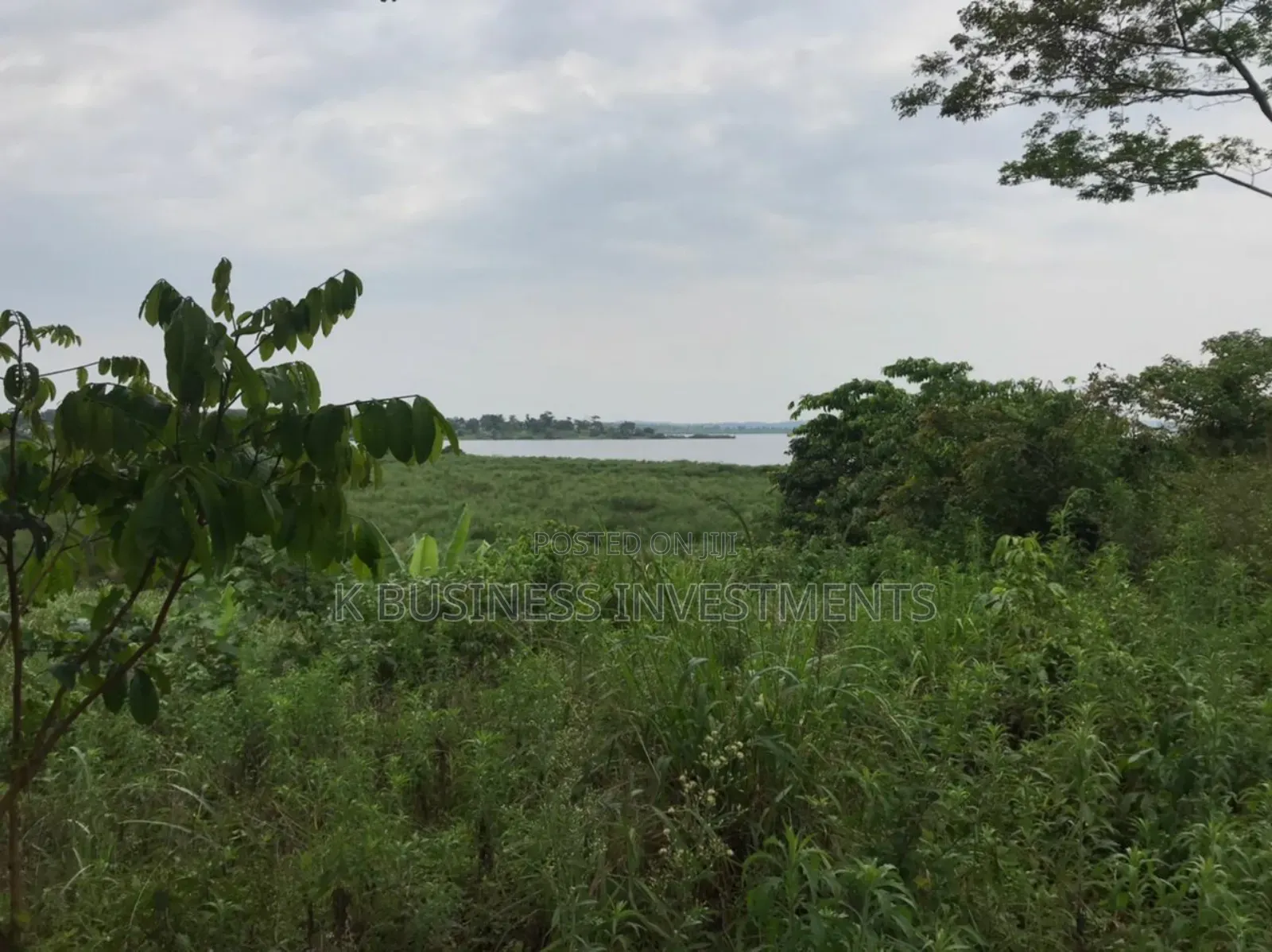 50 Acres at Damba Island Near Mukono