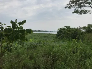 50 Acres at Damba Island Near Mukono