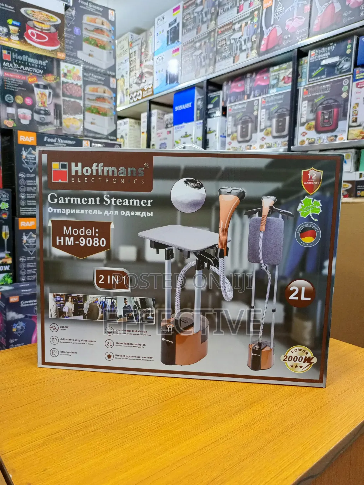 Garment Steamer.
