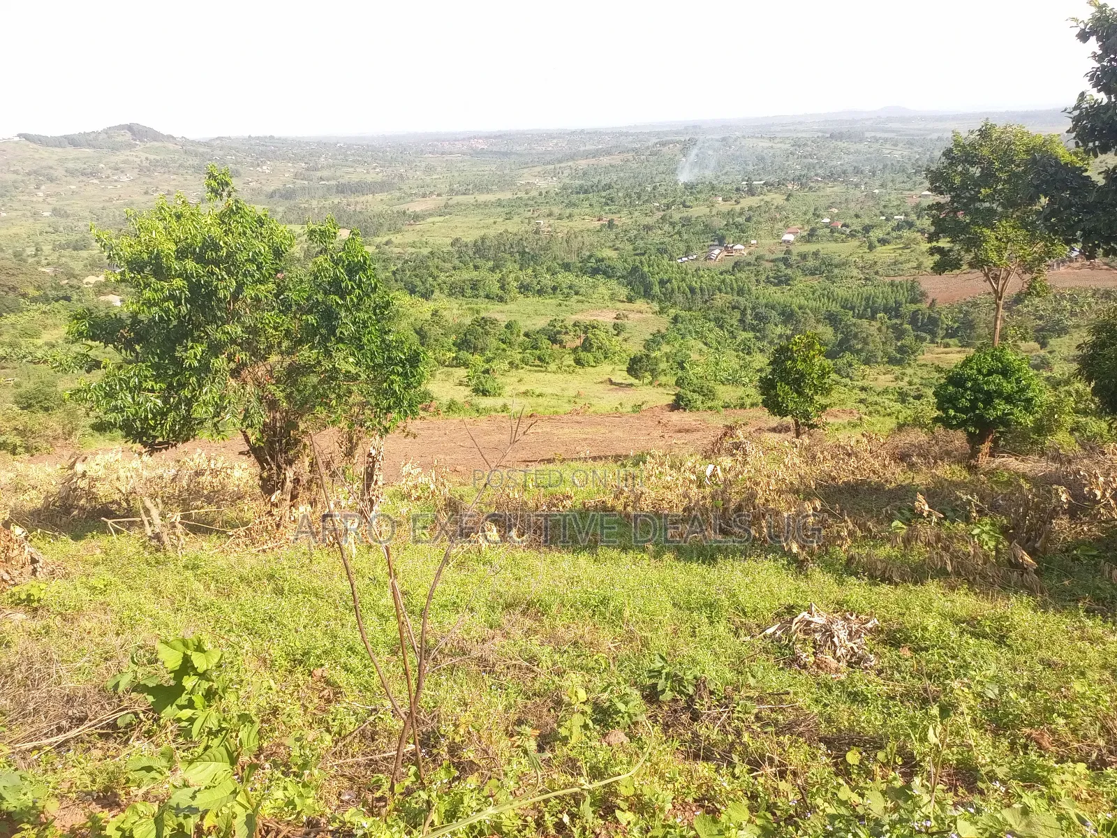 3.5 Square Miles At Luwero On Sale