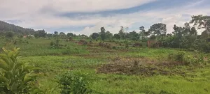 3.5 Square Miles At Luwero On Sale